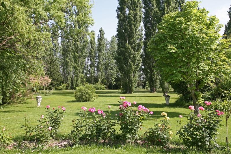 Luberon in Provence, old mas fully renovated in more than 2.6 hectares of parkland.
